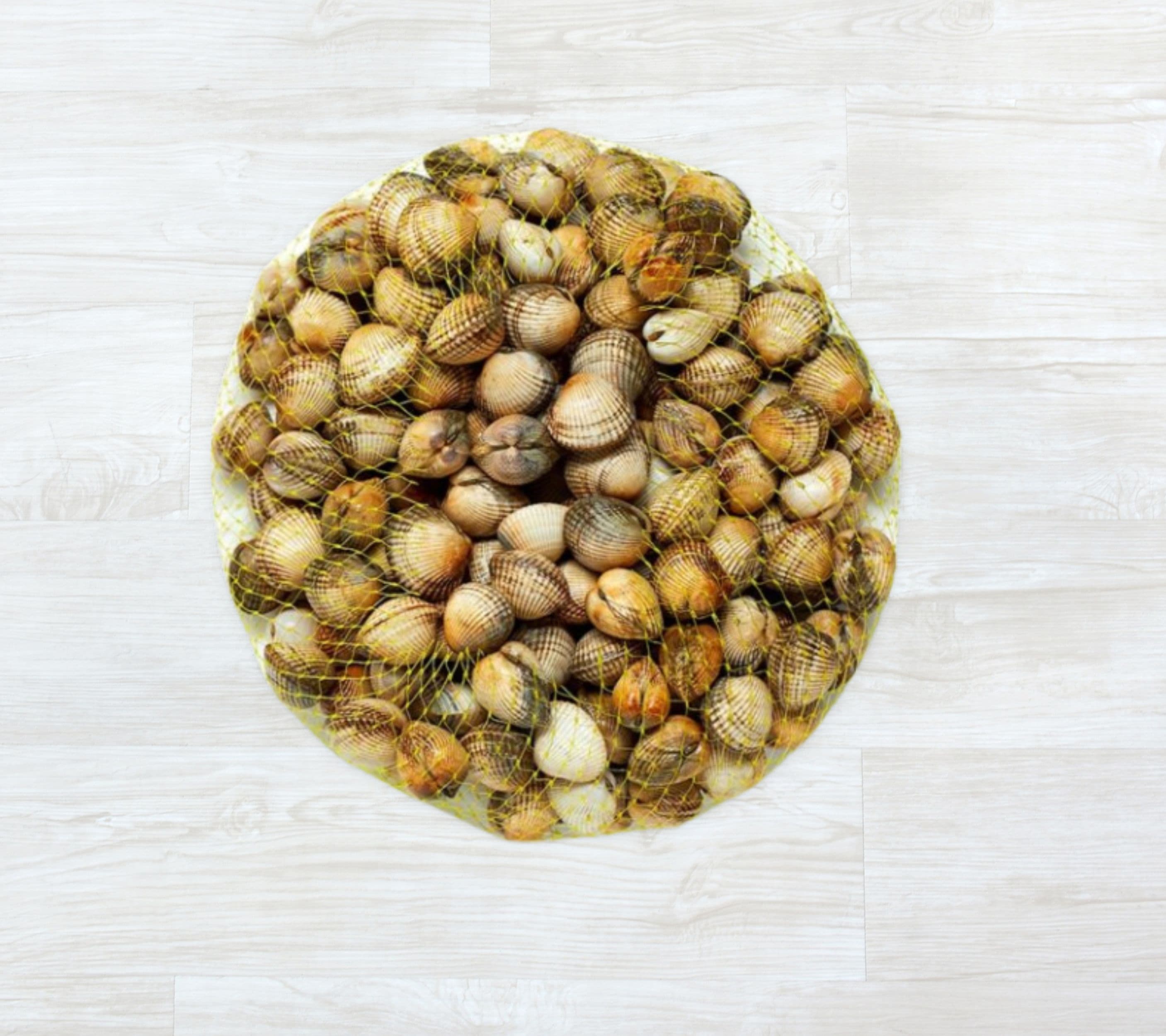 Berbigão da Ria Aveiro Vivo