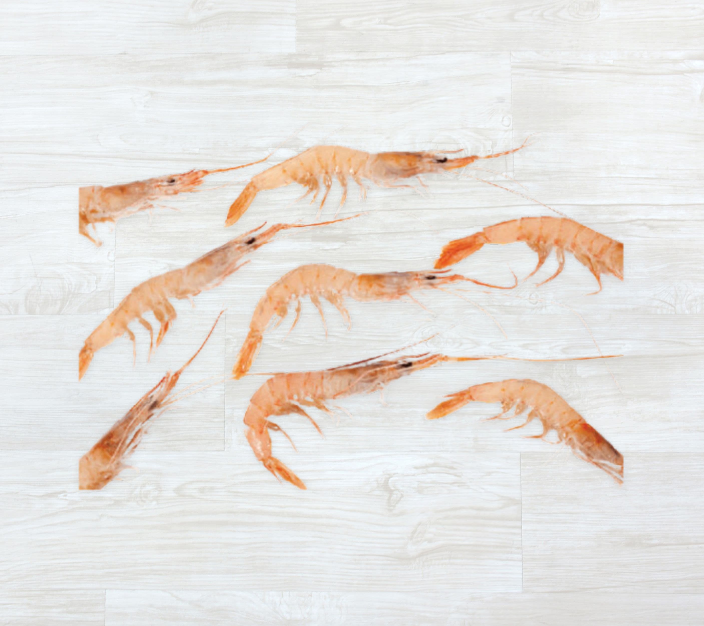 CON07872Gamba p/ caldo (Kg) CG (Parapenaeus longirostris)