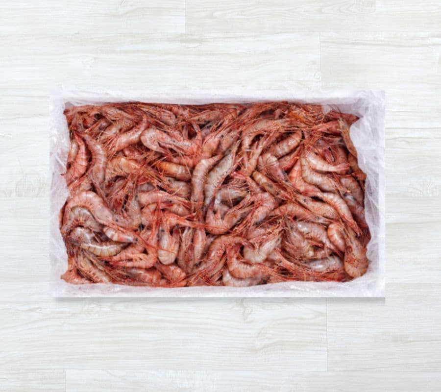 CON1014Camarão-da-costa Cozido 200-300 pcs/kg (cx 1kg) (Palaemon serratus)