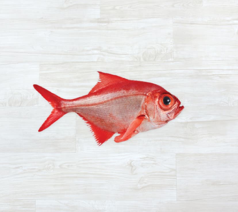 Imperador dos Açores Fresco