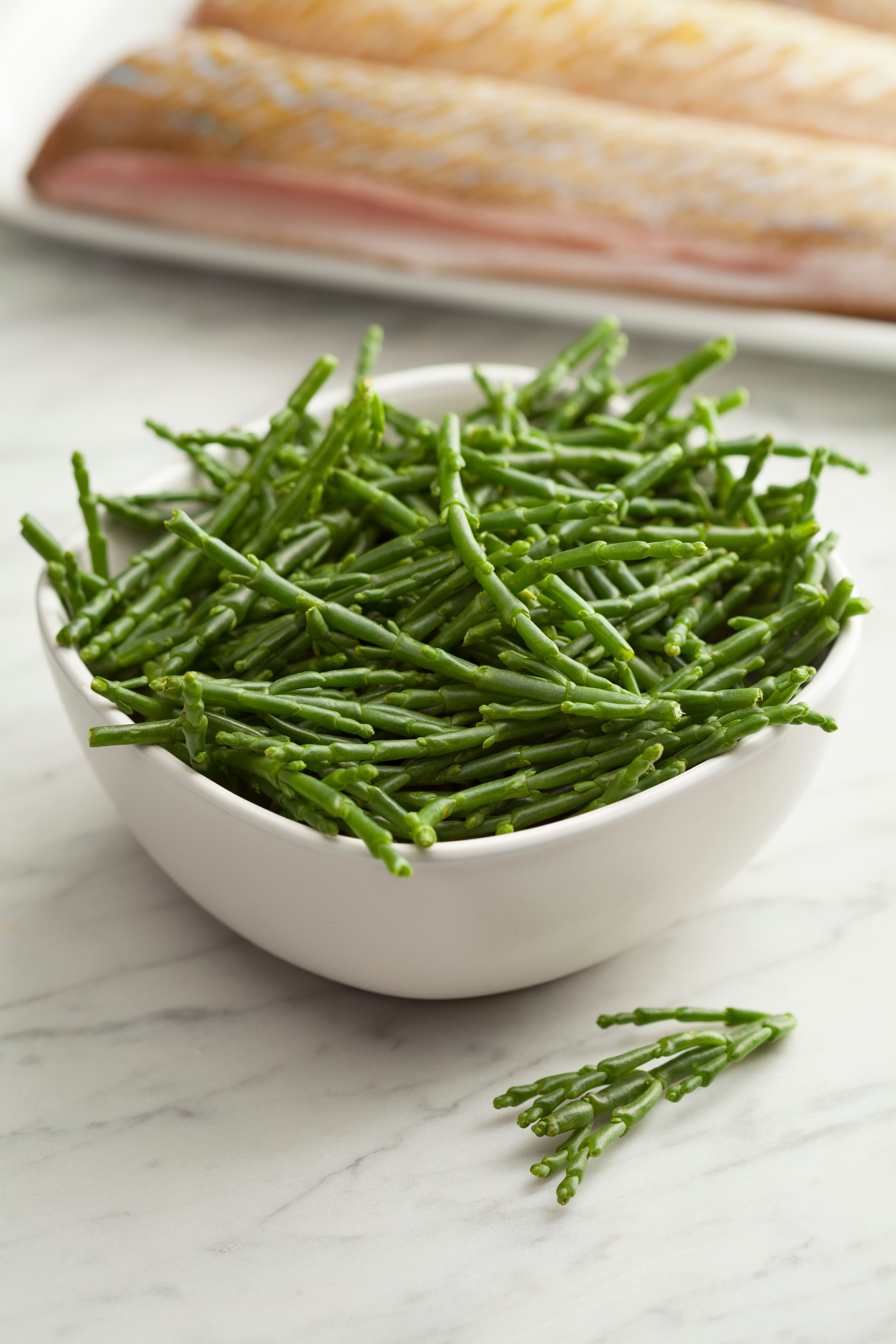 Verduras do Mar e da Ria