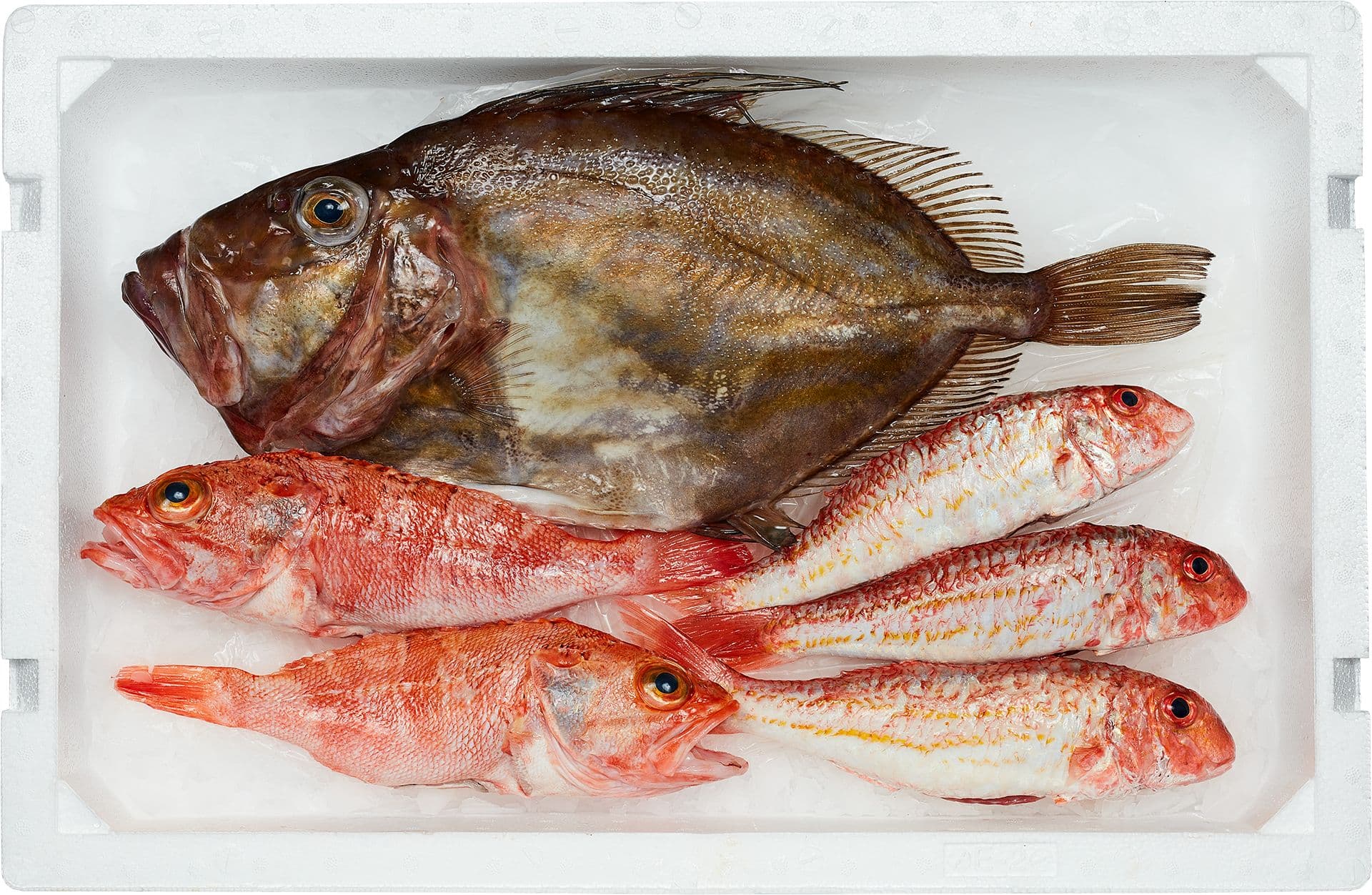 Cabaz Gastronómico Peixe Fresco | 3 Refeições para 2 pax